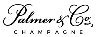 Logo_2023 PALMER